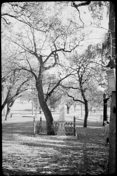 Obelisk and a tree surrounded by a fence, Australia, ca. 1945 [picture] / E.W. Searle