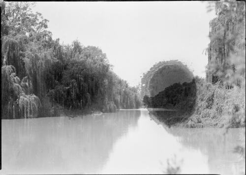 Willow trees lining the banks of an unidentified river, Australia, ca. 1935 [picture] / E.W. Searle