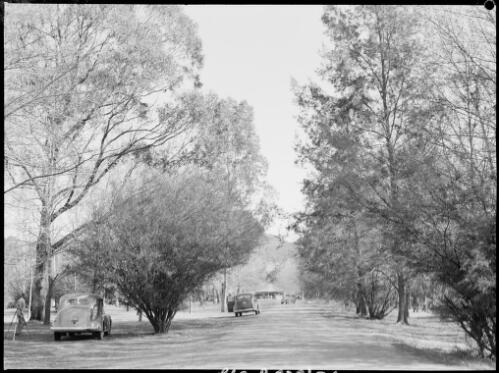Looking towards the kiosk at the Cotter Reserve, Australian Capital Territory, ca. 1949, 2 [picture] / E.W. Searle