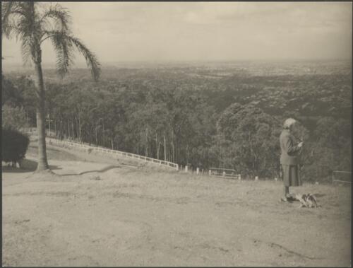 Mrs Searle with a cat at a lookout, Brisbane, ca. 1949 [picture] / E.W. Searle