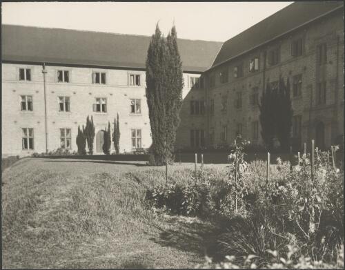 Trees and staked plants in a courtyard, Stuartholme School, Toowong, Queensland, ca. 1949 [picture] / E.W. Searle
