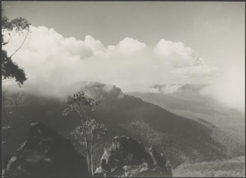 Blue Mountains, New South Wales, ca. 1945, 3 [picture] / E.W. Searle