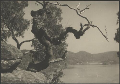 Hawkesbury River, New South Wales, ca. 1935, 8 [picture] / E.W. Searle