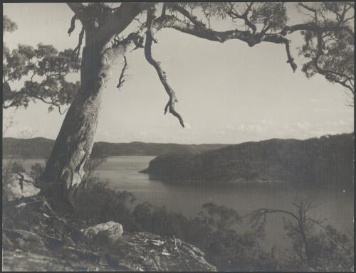 Hawkesbury River, New South Wales, ca. 1935, 9 [picture] / E.W. Searle