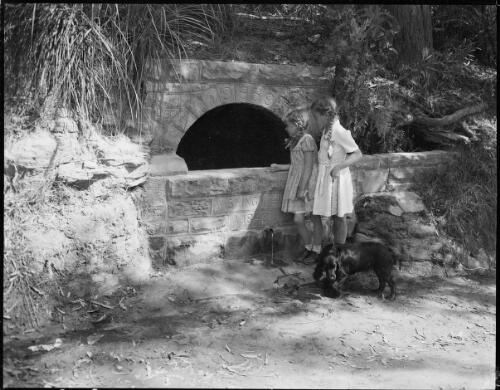 Two girls standing beside a wishing well, Ilford, New South Wales, ca. 1946 [picture] / E.W. Searle