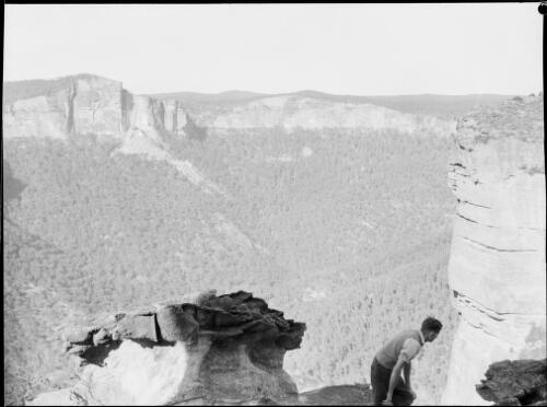 Land slip, Katoomba, Blue Mountains, New South Wales, ca. 1935, 1 [picture] / E.W. Searle