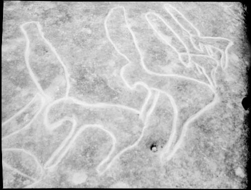Rock carving of a four creatures resembling rabbits, Sydney region, ca. 1950, 1 [picture] / E.W. Searle