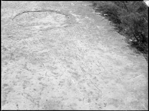 Rock carving of a human formwith baskets or fishing nets, Sydney region, ca. 1950, 2 [picture] / E.W. Searle