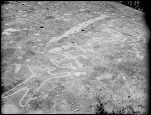 Rock carving of a human form and unidentified animals, Sydney region, ca. 1950, 1 [picture] / E.W. Searle