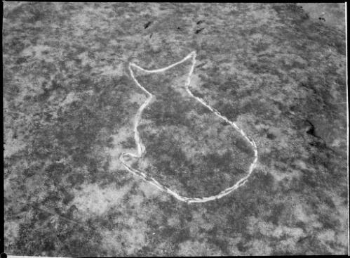Rock carving of a fish, Sydney region, ca. 1950 [picture] / E.W. Searle