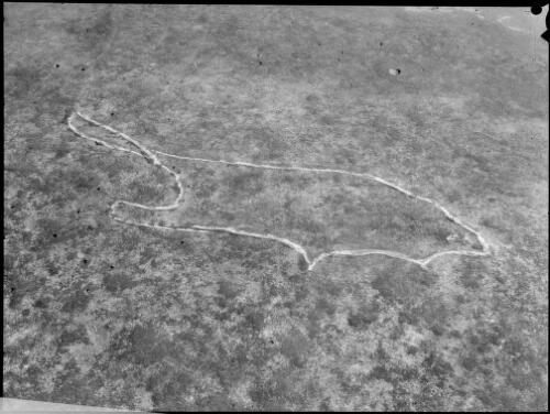 Rock carving of an unidentified animal, Sydney region, ca. 1950, 1 [picture] / E.W. Searle