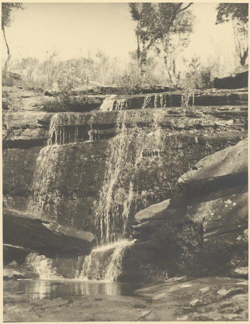 Waterfall, Leura, Blue Mountains, New South Wales, ca. 1935 [picture] / E.W. Searle