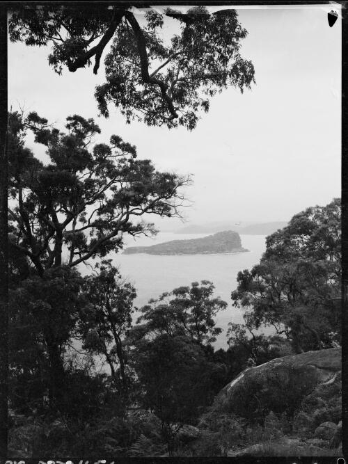 Lion Island, Broken Bay, New South Wales, ca. 1935, 5 [picture] / E.W. Searle