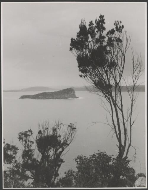 Lion Island, Broken Bay, New South Wales, ca. 1935, 8 [picture] / E.W. Searle