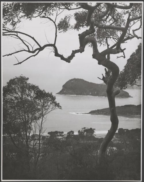 Lion Island, Broken Bay, New South Wales, ca. 1935, 9 [picture] / E.W. Searle