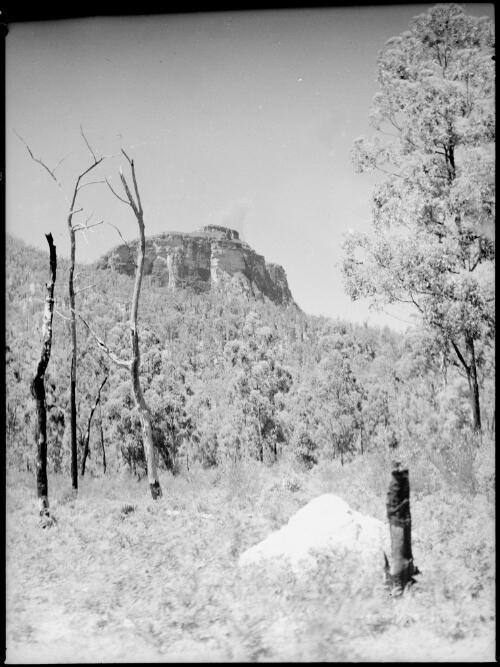 Mount Lindesay, Queensland, ca. 1949 [picture] / E.W. Searle