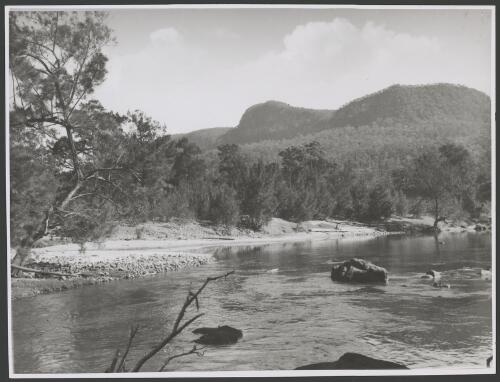 Murrumbidgee River, New South Wales, ca. 1949, 2 [picture] / E.W. Searle