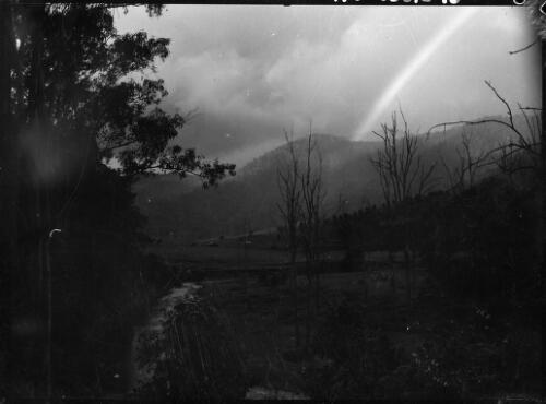 Landscape, northern New South Wales, ca. 1949 [picture] / E.W. Searle