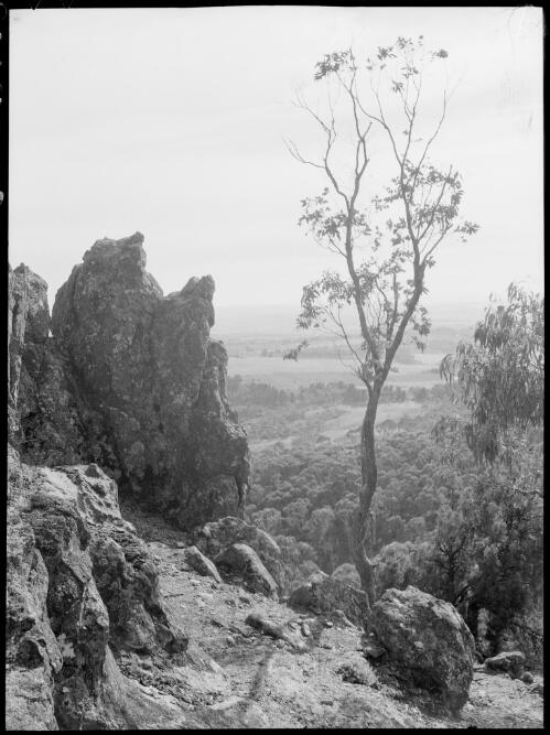 Pinnacles, Orange, New South Wales, ca. 1949, 1 [picture] / E.W. Searle