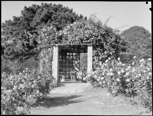 Nellie Stewart Memorial Rosary, Royal Botanic Gardens, Sydney, ca. 1935, 4 [picture] / E.W. Searle