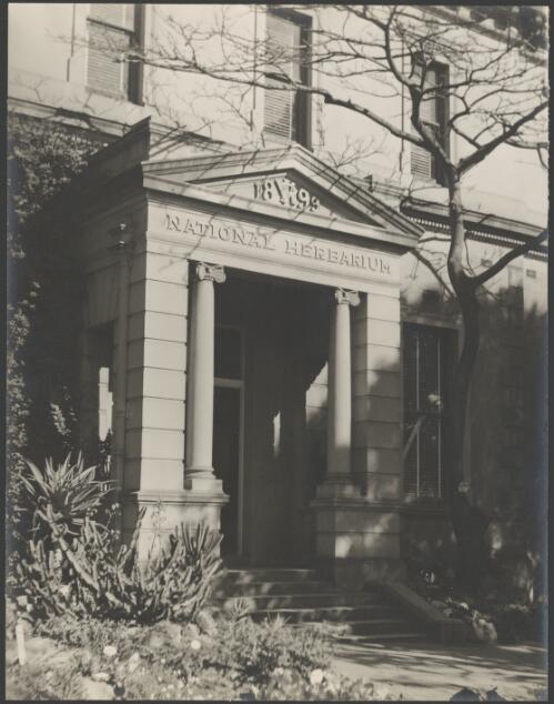 Entrance to the National Herbarium, Royal Botanic Gardens, Sydney, ca. 1946 [picture] / E.W. Searle