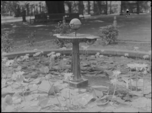 Women's Christian Temperance Union Fountain, Royal Botanic Gardens, Sydney, ca. 1945, 2 [picture] / E.W. Searle