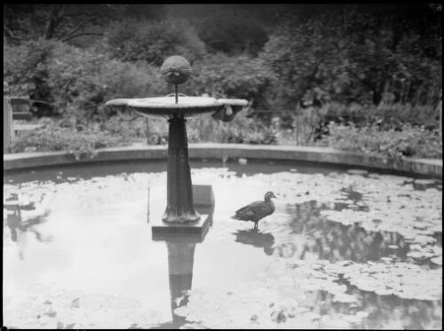 Women's Christian Temperance Union Fountain, Royal Botanic Gardens, Sydney, ca. 1945, 4 [picture] / E.W. Searle