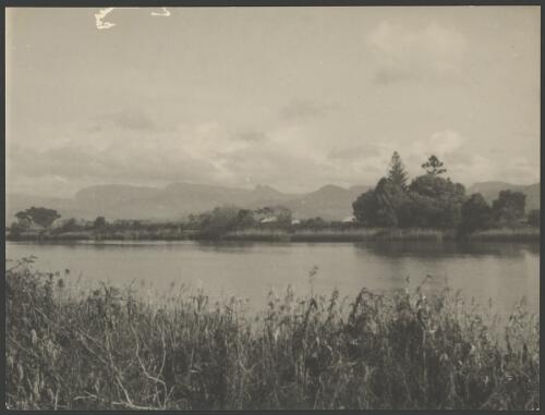 Tweed River, New South Wales, ca. 1949, 3 [picture] / E.W. Searle