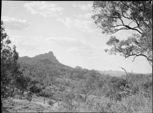 Bonnum Pic, Wollondilly River, New South Wales, ca. 1945, 1 [picture] / E.W. Searle
