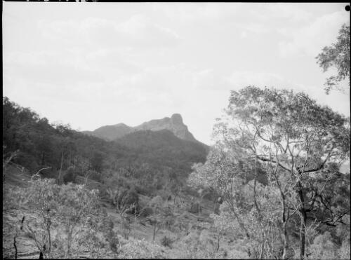 Bonnum Pic, Wollondilly River, New South Wales, ca. 1945, 2 [picture] / E.W. Searle