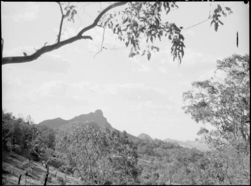 Bonnum Pic, Wollondilly River, New South Wales, ca. 1945, 4 [picture] / E.W. Searle