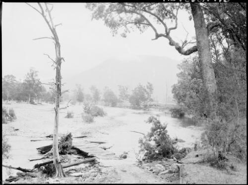 Barrallier Crossing, Wollondilly River, New South Wales, ca. 1945, 2 [picture] / E.W. Searle