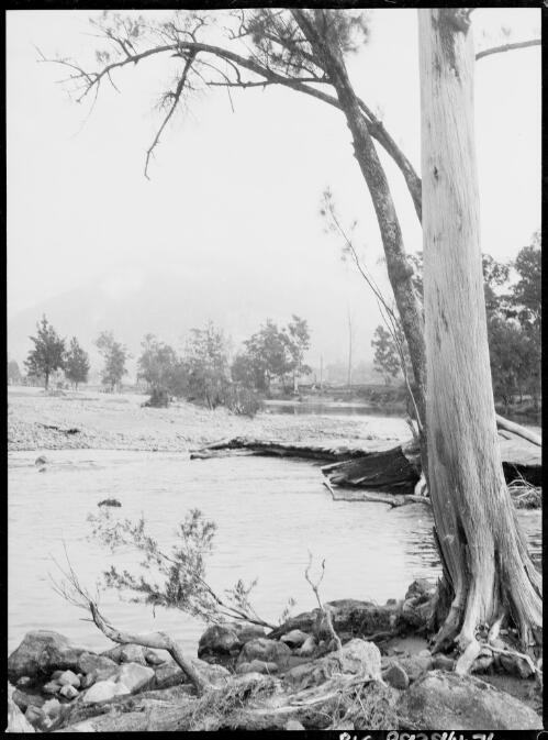 Barrallier Crossing, Wollondilly River, New South Wales, ca. 1945, 5 [picture] / E.W. Searle