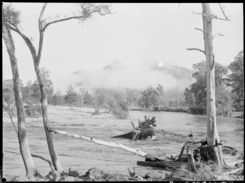 Barrallier Crossing in flood, Wollondilly River, New South Wales, ca. 1945, 2 [picture] / E.W. Searle