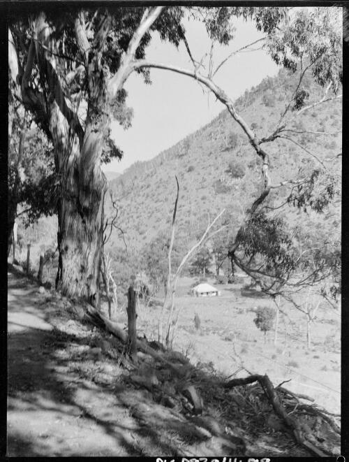 Farm house in a valley near Barrallier Crossing, Wollondilly River, New South Wales, ca. 1945, 1 [picture] / E.W. Searle