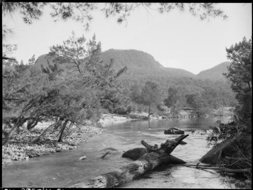 River near Barrallier Crossing, Wollondilly River, New South Wales, ca. 1945, 1 [picture] / E.W. Searle