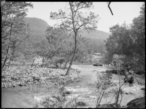 River near Barrallier Crossing, Wollondilly River, New South Wales, ca. 1945, 3 [picture] / E.W. Searle
