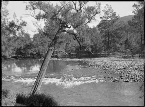 River near Barrallier Crossing, Wollondilly River, New South Wales, ca. 1945, 6 [picture] / E.W. Searle