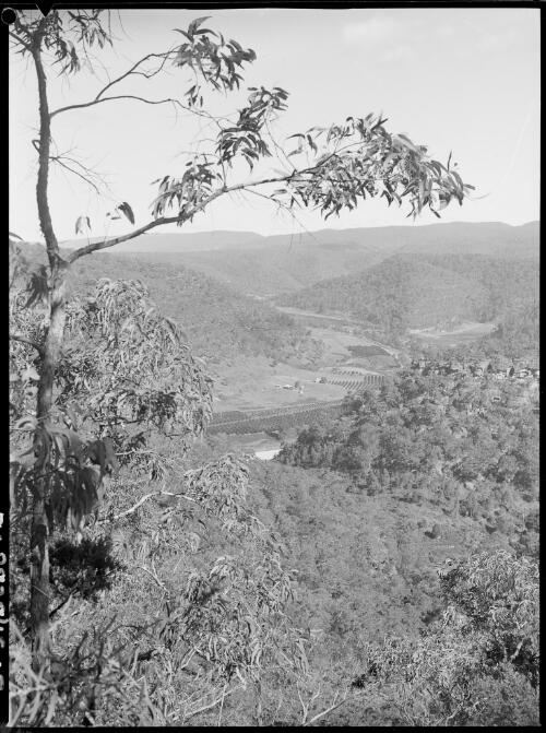 Crops in a river bend near Barrallier Crossing, Wollondilly River, New South Wales, ca. 1945 [picture] / E.W. Searle