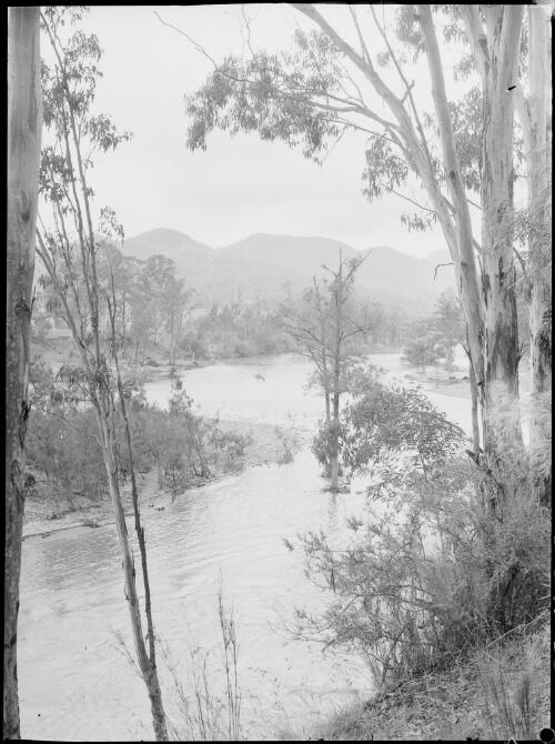 Wollondilly River, New South Wales, ca. 1945, 1 [picture] / E.W. Searle