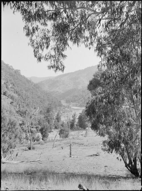 Wollondilly River, New South Wales, ca. 1945, 3 [picture] / E.W. Searle