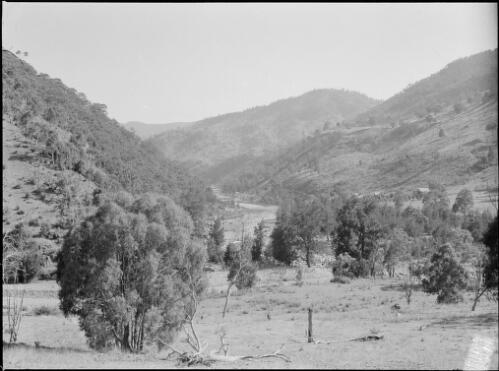 Wollondilly River, New South Wales, ca. 1945, 4 [picture] / E.W. Searle