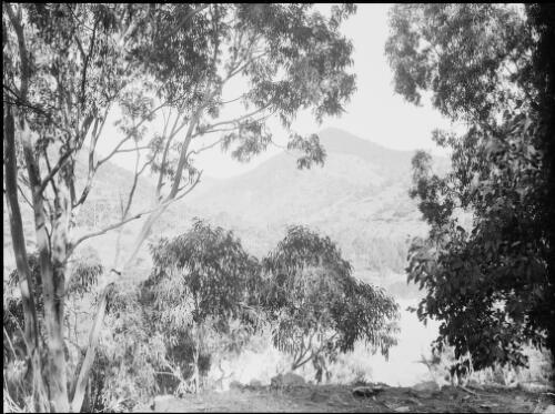 Wollondilly River, New South Wales, ca. 1945, 8 [picture] / E.W. Searle