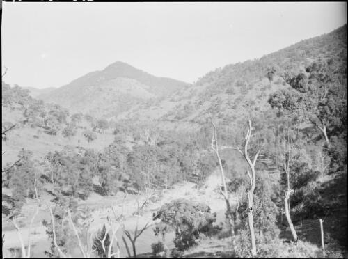 Wollondilly River, New South Wales, ca. 1945, 11 [picture] / E.W. Searle