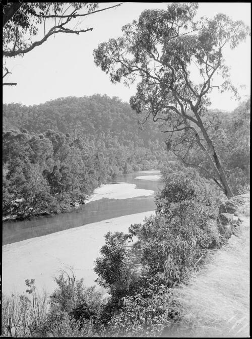 Wollondilly River, New South Wales, ca. 1945, 12 [picture] / E.W. Searle