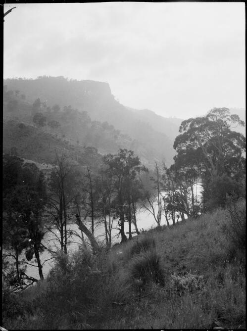 Wollondilly River, New South Wales, ca. 1945, 14 [picture] / E.W. Searle