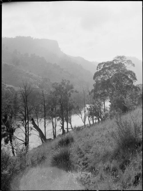 Wollondilly River, New South Wales, ca. 1945, 15 [picture] / E.W. Searle