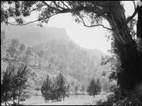 Wollondilly River, New South Wales, ca. 1945, 16 [picture] / E.W. Searle