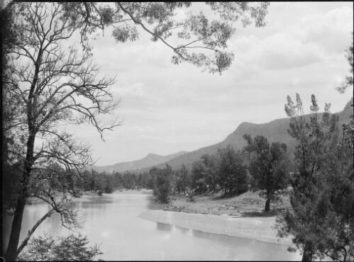 Wollondilly River, New South Wales, ca. 1945, 17 [picture] / E.W. Searle