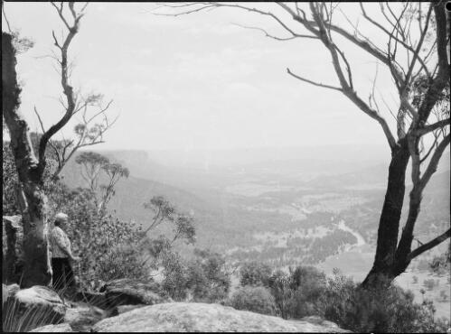Mrs Searle looking out over a valley, Wollondilly River, New South Wales, ca. 1945 [picture] / E.W. Searle